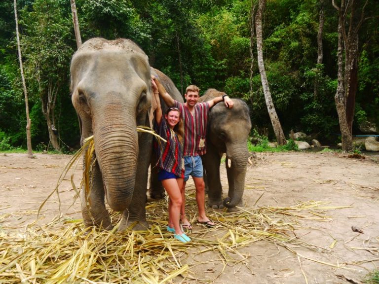 Santuario de Elefantes en Chiang Mai con el Grupo Privado de Journeys