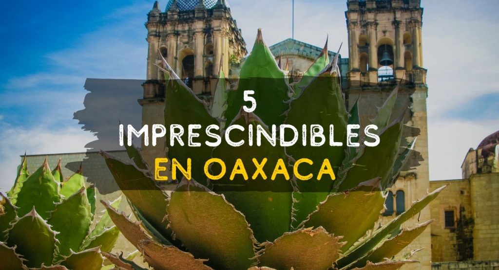 5 Imprescindibles en oaxaca Top 5 Recomendaciones