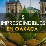 5 Imprescindibles en oaxaca Top 5 Recomendaciones