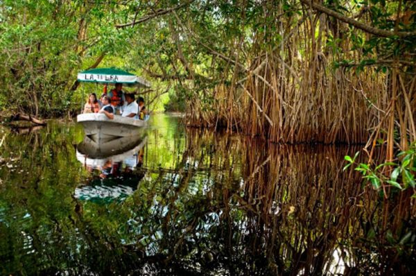 Reserva De La Biósfera Pantanos De Centla Journeys Mx 4837