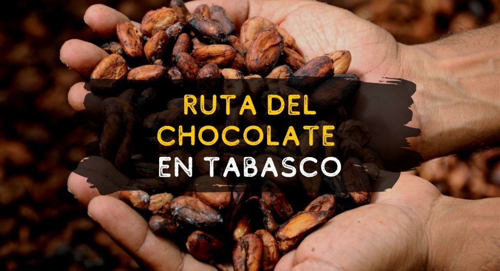 Ruta del Chocolate en Tabasco Cacao
