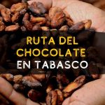 Ruta del Chocolate en Tabasco Cacao