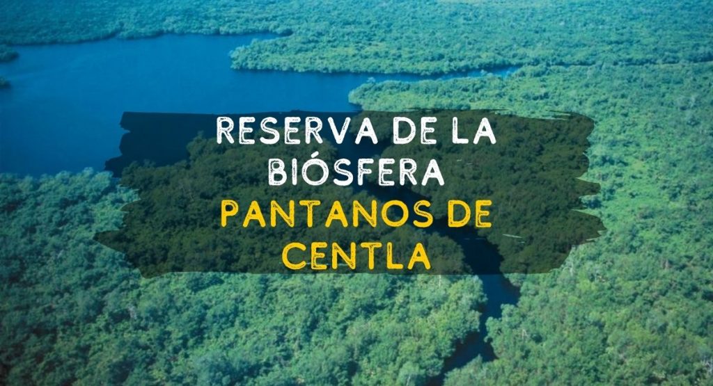 reserva de la biósfera pantanos de Centla Tabasco