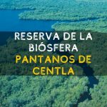 reserva de la biósfera pantanos de Centla Tabasco