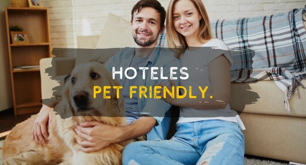 Hoteles Pet Friendly en México