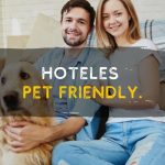 Hoteles Pet Friendly en México